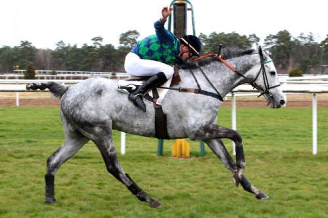 Arrivée quinté pmu GRAND STEEPLE-CHASE - CROSS COUNTRY DE FONTAINEBLEAU à FONTAINEBLEAU