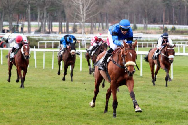 Arrivée quinté pmu PRIX DE PROVINS à FONTAINEBLEAU