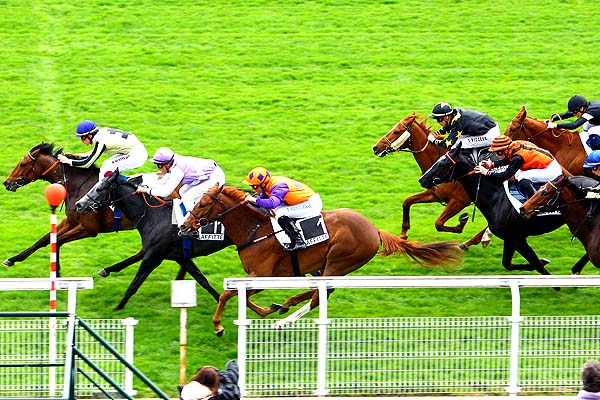 Arrivée quinté pmu PRIX D'ORGEVAL à MAISONS-LAFFITTE