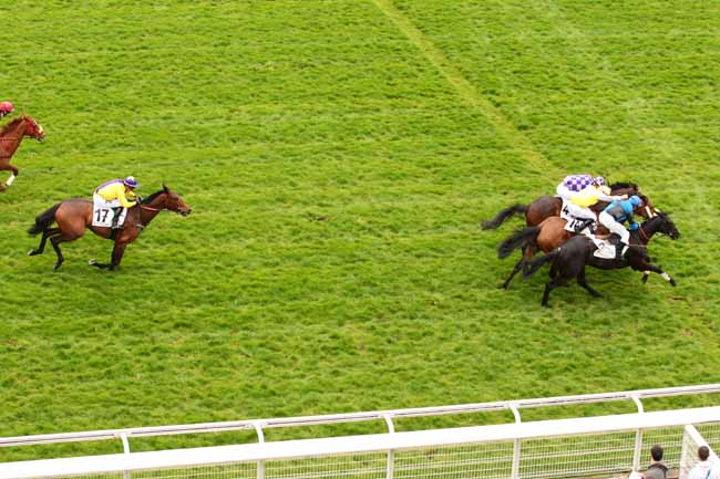 Arrivée quinté pmu PRIX GUY HUNAULT à AUTEUIL