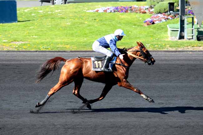 Arrivée quinté pmu PRIX THEOPHILE LALLOUET à PARIS-VINCENNES