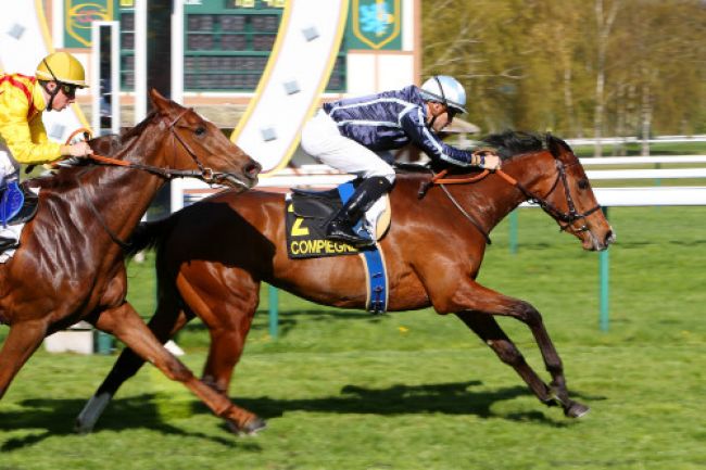 Arrivée quinté pmu PRIX D'OFFEMONT à COMPIEGNE