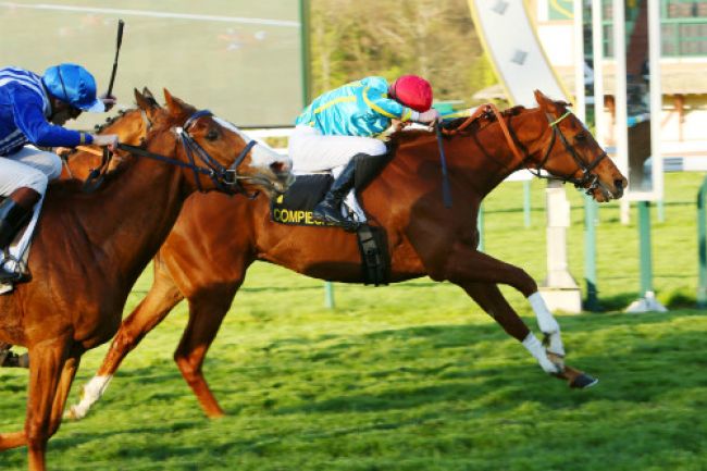 Arrivée quinté pmu PRIX DE SEGONZAC à COMPIEGNE