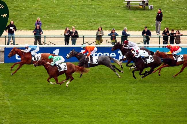Arrivée quinté pmu PRIX FINLANDE à LONGCHAMP