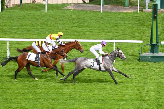Arrivée quinté pmu PRIX RIGHT ROYAL à SAINT-CLOUD