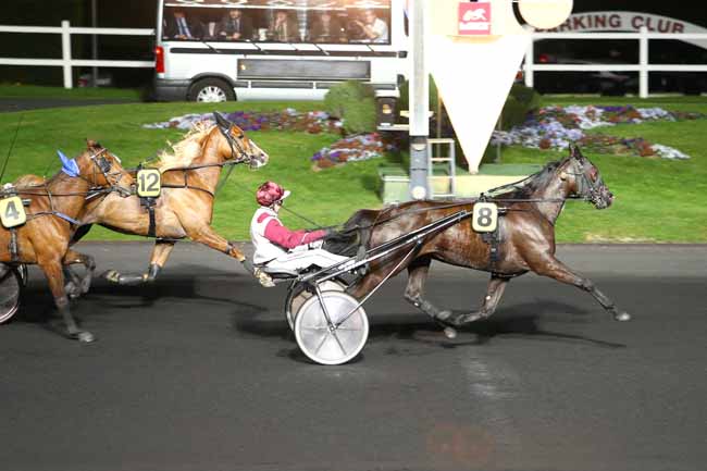 Arrivée quinté pmu PRIX ALBIREO à PARIS-VINCENNES