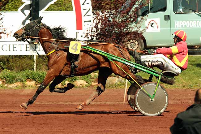 Arrivée quinté pmu PRIX JEAN THOMAS à SAINT GALMIER