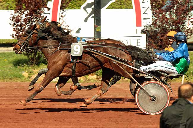 Arrivée quinté pmu PRIX DU CONSEIL GENERAL à SAINT GALMIER