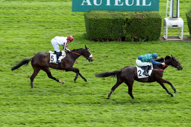 Arrivée quinté pmu PRIX MAGUELONNE à AUTEUIL