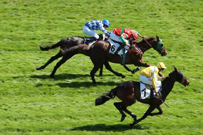 Arrivée quinté pmu PRIX DU BARRY à AUTEUIL