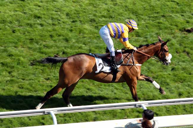 Arrivée quinté pmu PRIX CLAUDE COHEN à AUTEUIL