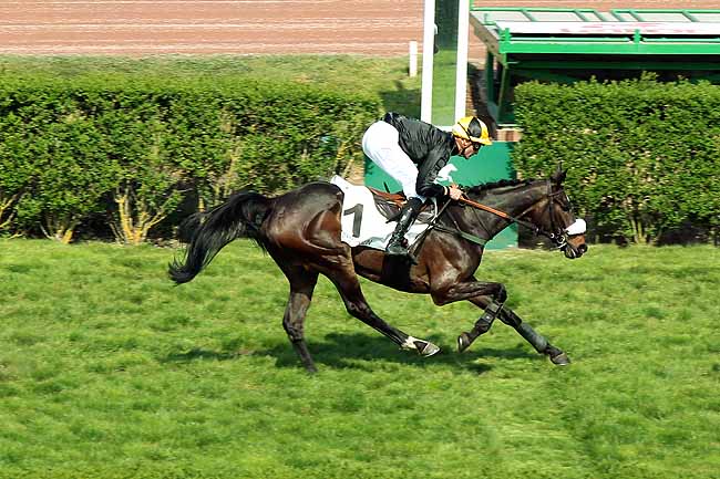 Arrivée quinté pmu PRIX DES CHARENTES à ENGHIEN