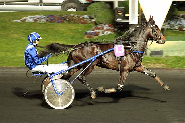 Arrivée quinté pmu PRIX PROSERPINA à PARIS-VINCENNES