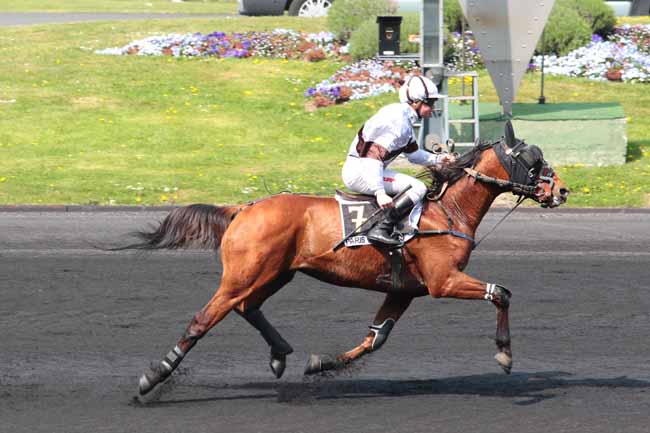 Arrivée quinté pmu PRIX HEMINE à PARIS-VINCENNES