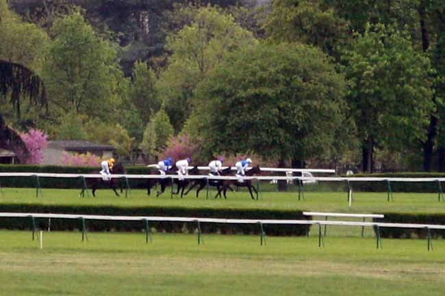 Arrivée quinté pmu PRIX DES ORFEVRES à LONGCHAMP