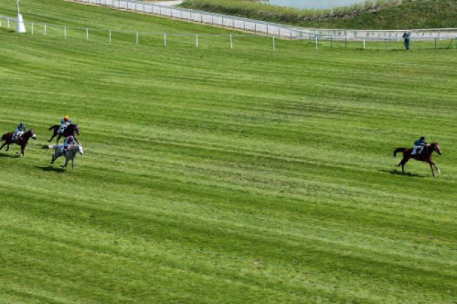Arrivée quinté pmu PRIX RENE COUETIL à AUTEUIL