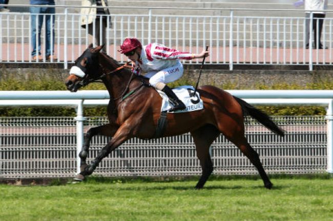 Arrivée quinté pmu PRIX LA BELLE FERRONNIERE à AUTEUIL