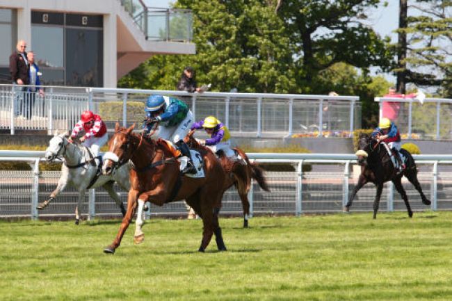 Arrivée quinté pmu PRIX ALCIDE à AUTEUIL