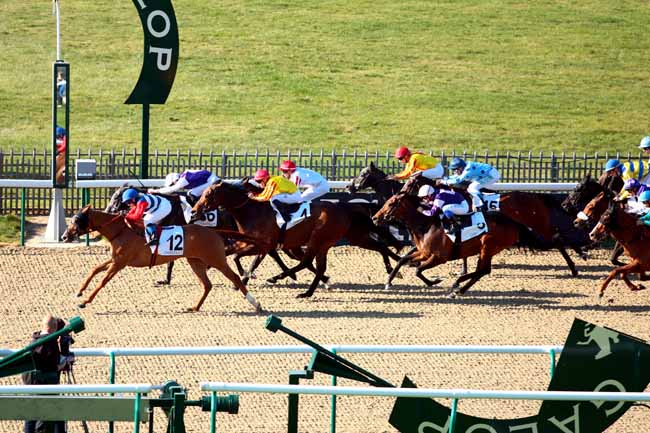 Arrivée quinté pmu PRIX DU CHAPITRE à CHANTILLY