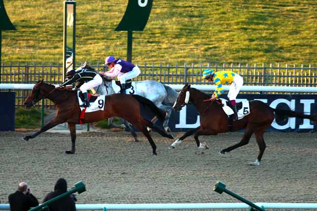 Arrivée quinté pmu PRIX DU PAVE D'AVESNE à CHANTILLY
