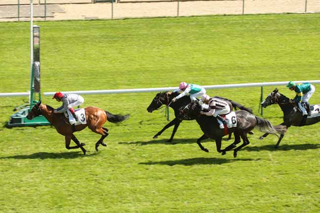 Arrivée quinté pmu PRIX DU MUSEE CARNAVALET à LONGCHAMP