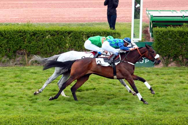 Arrivée quinté pmu PRIX DE MENTON à ENGHIEN