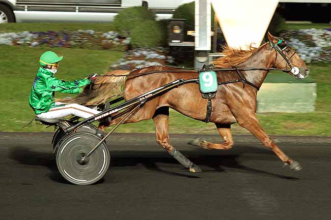 Arrivée quinté pmu PRIX GASTON BRUNET à PARIS-VINCENNES