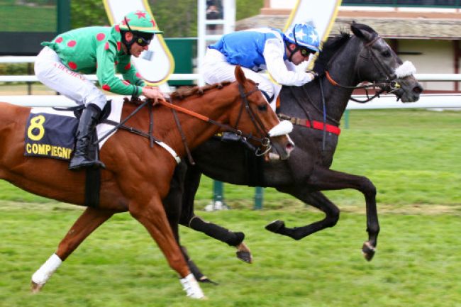 Arrivée quinté pmu PRIX DU BUISSONNET à COMPIEGNE