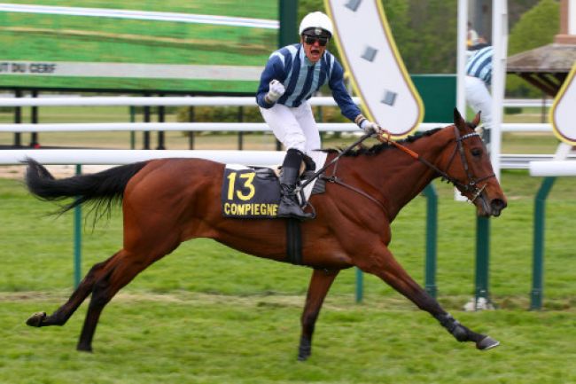 Arrivée quinté pmu PRIX DU SAUT DU CERF à COMPIEGNE