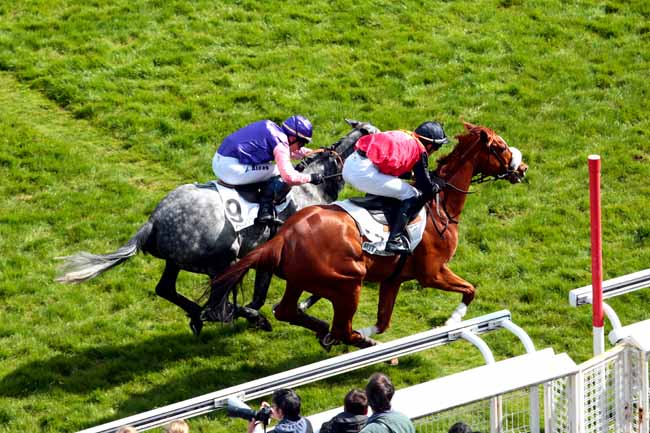 Arrivée quinté pmu PRIX JEAN GRANEL à AUTEUIL