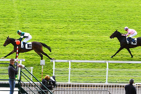 Arrivée quinté pmu PRIX EPINARD à MAISONS-LAFFITTE