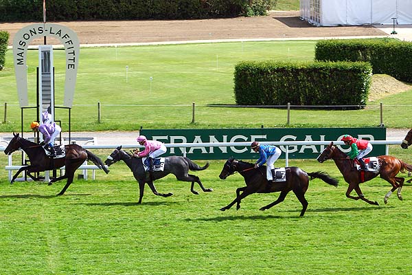 Arrivée quinté pmu PRIX DE MALMAISON à MAISONS-LAFFITTE