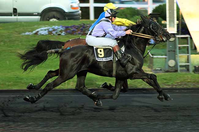 Arrivée quinté pmu PRIX HAVNIA à PARIS-VINCENNES
