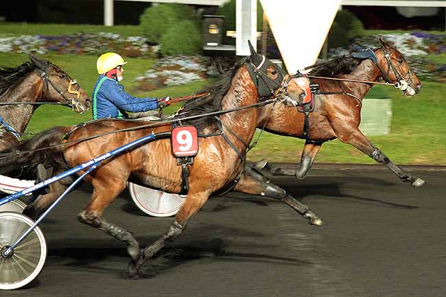 Arrivée quinté pmu PRIX PAUL KARLE à PARIS-VINCENNES