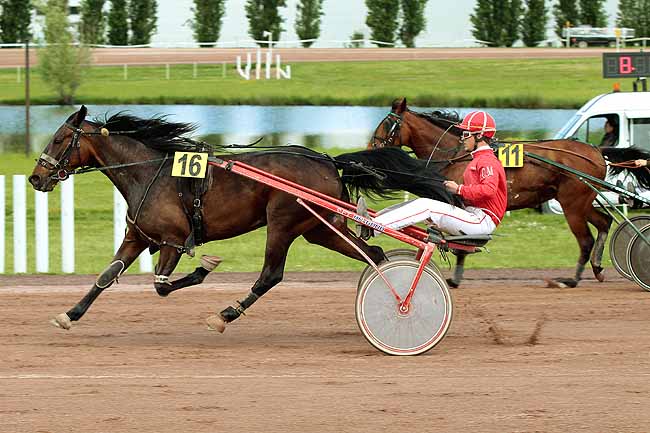 Arrivée quinté pmu PRIX DE LA VILLE DU PASSAGE à AGEN LE PASSAGE