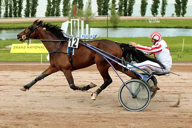 Arrivée quinté pmu PRIX ROGER LAGENEBRE à AGEN LE PASSAGE