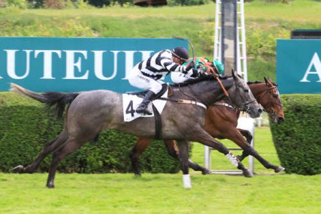 Arrivée quinté pmu PRIX LA VEINE à AUTEUIL