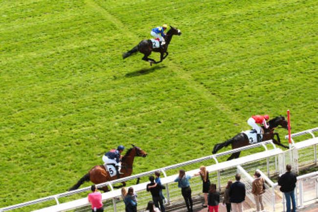 Arrivée quinté pmu PRIX VANILLE à AUTEUIL