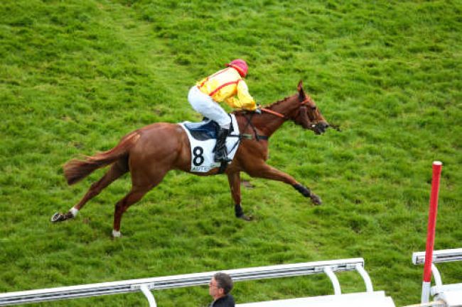 Arrivée quinté pmu PRIX DE SAINT-GERMAIN à AUTEUIL