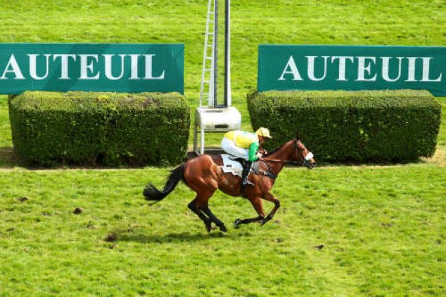 Arrivée quinté pmu PRIX WILLIAM HEAD à AUTEUIL
