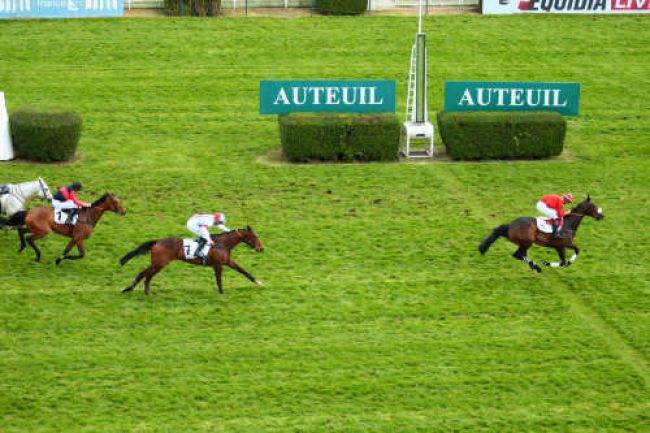 Arrivée quinté pmu PRIX GUILLAUME JAVOY à AUTEUIL