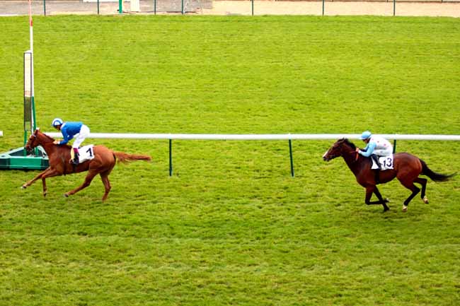 Arrivée quinté pmu PRIX DE L'AQUEDUC à LONGCHAMP