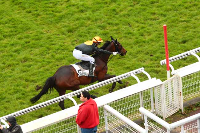 Arrivée quinté pmu PRIX DE CASTETS à AUTEUIL