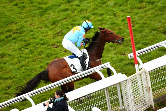 Arrivée quinté pmu PRIX LEON RAMBAUD à AUTEUIL