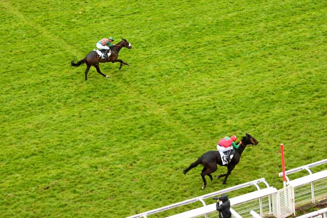 Arrivée quinté pmu PRIX GASTON BRANERE à AUTEUIL