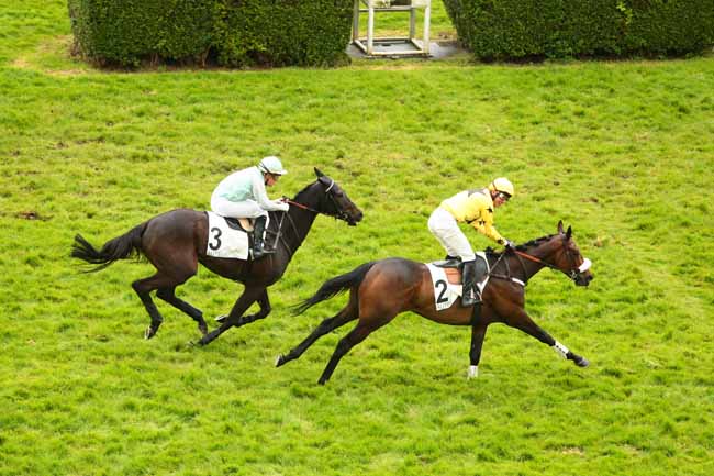 Arrivée quinté pmu PRIX INGRE à AUTEUIL