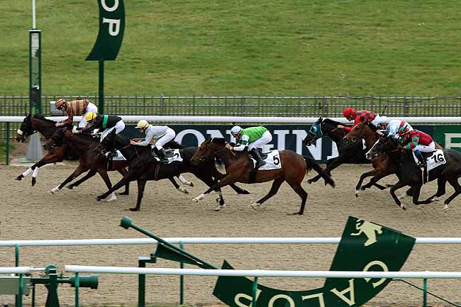 Arrivée quinté pmu PRIX DU PAVE DE LA BICHE à CHANTILLY