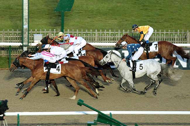 Arrivée quinté pmu PRIX DU PAVE DE SENLIS à CHANTILLY