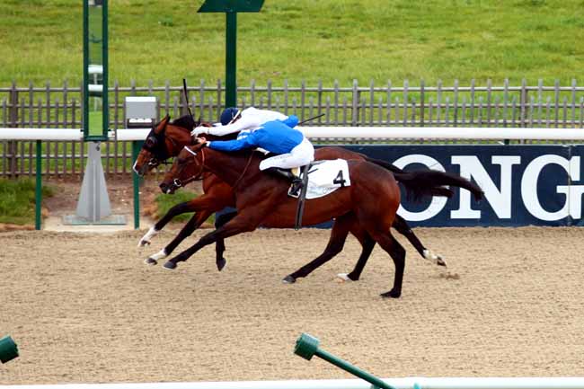 Arrivée quinté pmu PRIX DU TANDEM à CHANTILLY