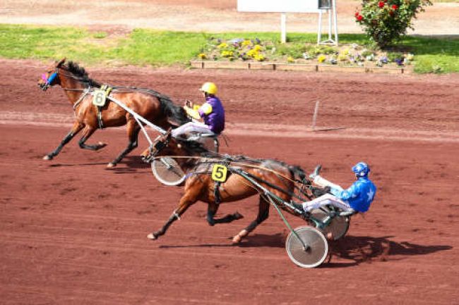 Arrivée quinté pmu PRIX DE BEAUMONT-DE-LOMAGNE à LYON LA SOIE